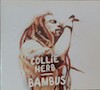 Bild Album Bambus - Collie Herb