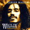 Bild Album Waillin For Love - Junior Marvin (Ex Bob Marley)